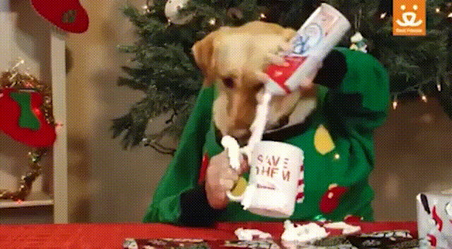 xmas-dog.gif