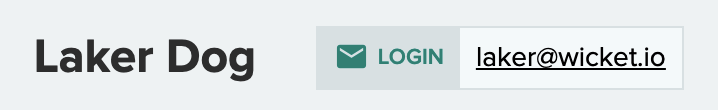 wicket-person-login-email.png